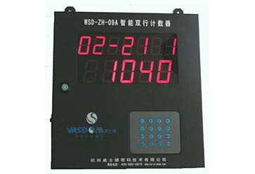 WSD-ZH-09A計數器